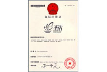 新佳塗料聖潔注冊證