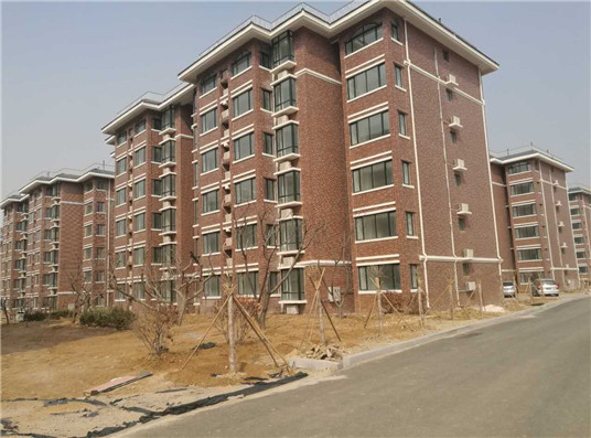 山東新佳外牆質感真石漆案例